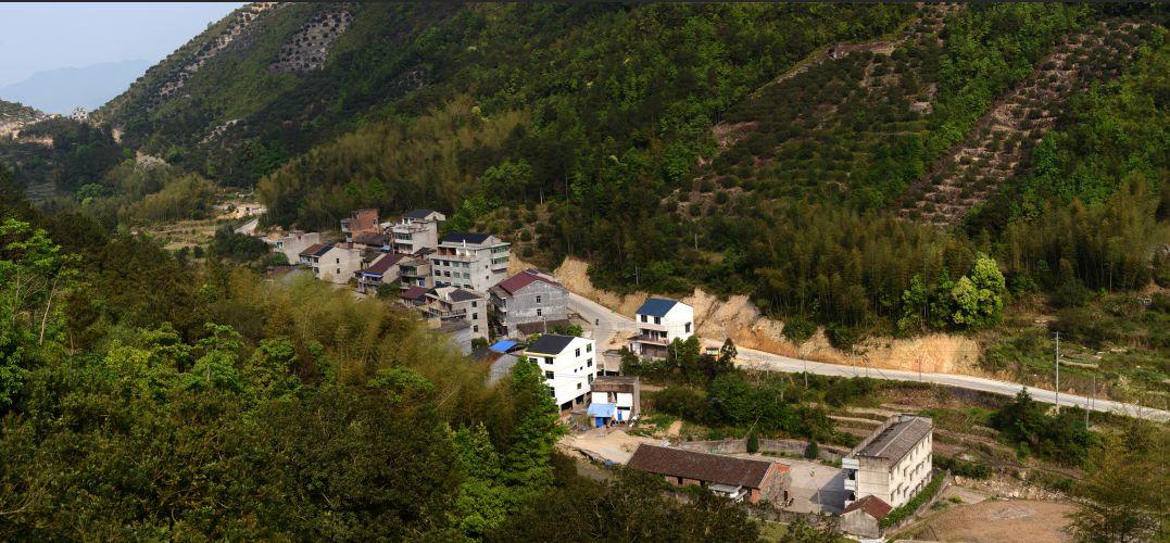 玉地河村委会重塑乡村，迈向繁荣新篇章