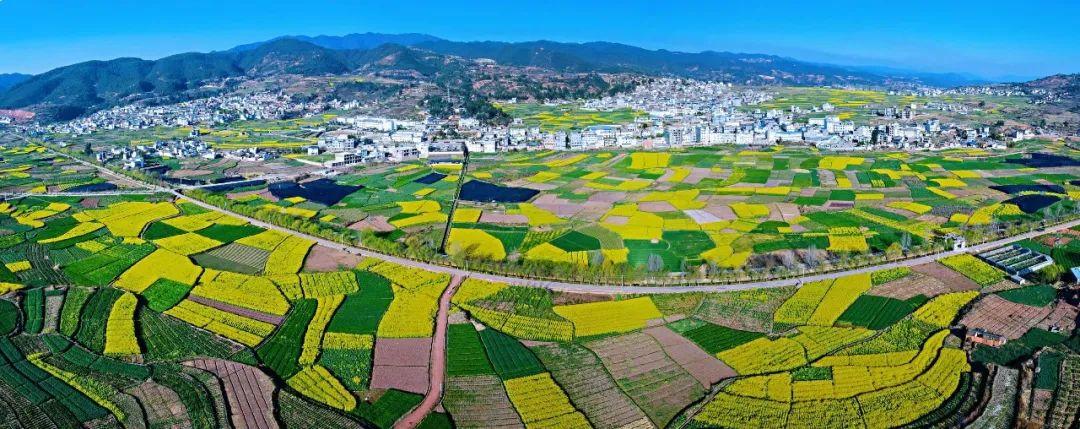 菊花村委会最新项目，重塑乡村未来