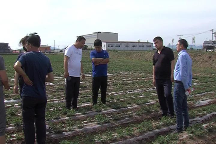 稍户营子镇天气预报更新通知