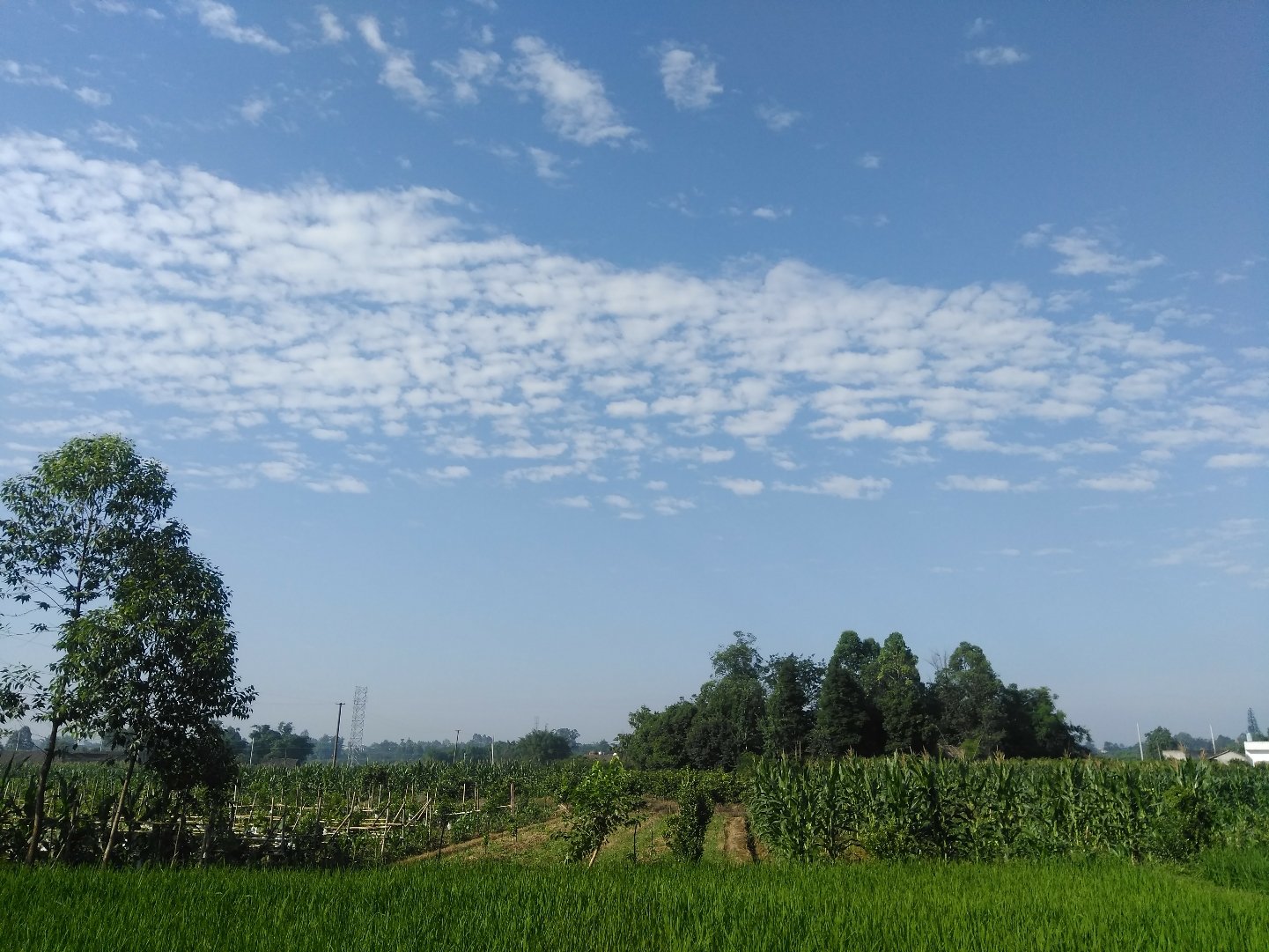 余坝村天气预报更新通知